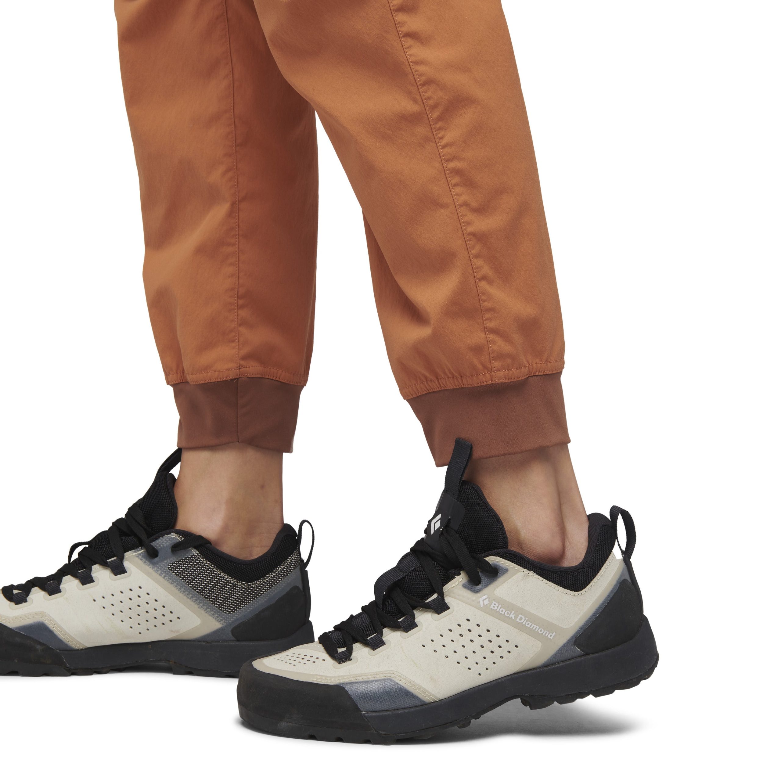 Women's Technician Jogger Pants - Past Season - Image 8